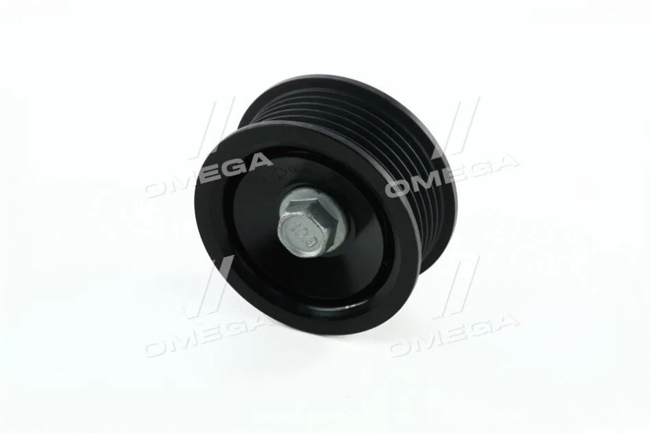 Ролик обвідний Hyundai/Kia/Mobis 2528825001 (фото 1)