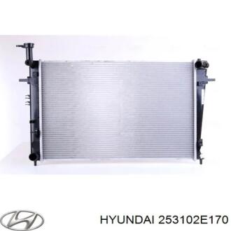 Радіатор Hyundai/Kia/Mobis 253102E170