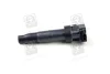 Котушка запалювання Hyundai, Kia (вир-во Mobis) Hyundai/Kia/Mobis 273013C000 (фото 1)