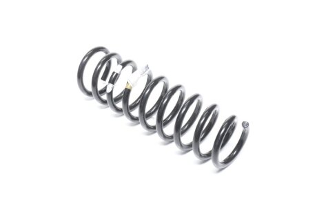 Пружина підвіски задня (Mobis) C.I.U Hyundai/Kia/Mobis 553502H001
