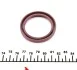 Комплект цепи ГРМ Opel Astra J/Corsa D 1.2-1.4 09- (цепь, шестерня, прокладка)) UA63 IJS GROUP 40-1056VFK (фото 21)