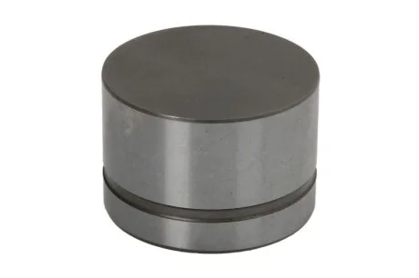 Гидротолкатель MB M104/M111/M117/M120 (пр-во Ina) INA 420 0042 10