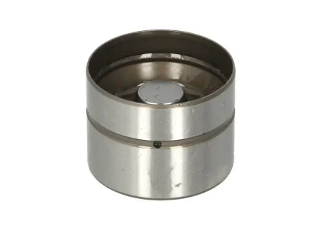 Гидротолкатель VAG AAE/AAH/ABC/ABK/ABT/ACZ/ADP/AEH 96- (пр-во Ina) INA 420 0043 10