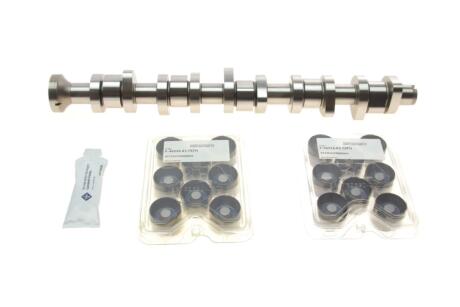 Комплект розподільчого вала INA 428 0040 30