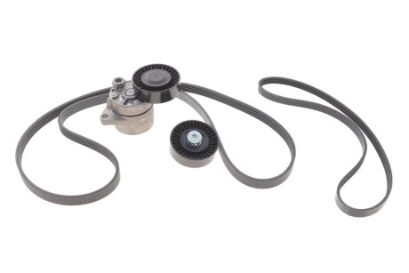 Роликовый модуль натяжителя ремня (ролик, ремень) INA 529 0439 10