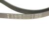 Комплект ременя генератора INA 529 0551 10 (фото 4)
