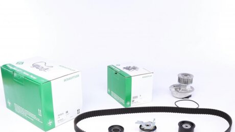 Комплекти натяжних роликів INA 530 0049 30