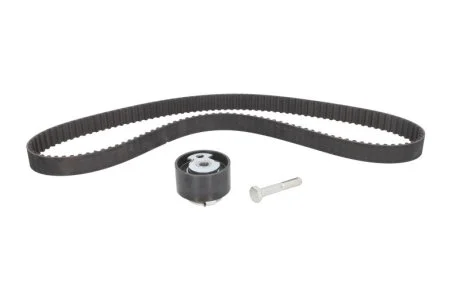 Ремкомплект грм FORD Transit 1 135 358 (ПР-во) INA 530 0143 10