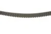 Роликовый модуль натяжителя ремня (ролик, ремень) INA 530 0242 10 (фото 3)