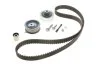 Ремкомплект грм VAG 1.9TDI (ПР-во) INA 530 0361 10