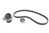 Водяний насос + комплект ременя FORD (Вир-во) INA 530 0462 30 (фото 1)