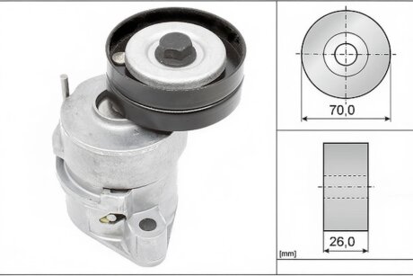 Роликовий модуль натягувача ременя INA 534 0102 30