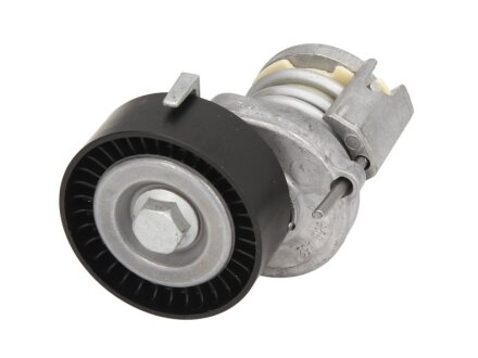 Натягувач поліклинового ременя INA 534 0123 20