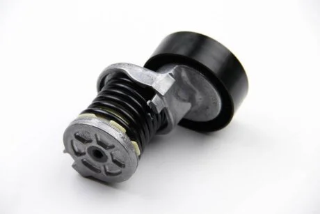 Натягувач ременя AUDI, SEAT, VW (вир-во Ina) INA 534 0164 10