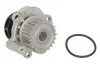 Насос водяний VW, AUDI, SEAT, SKODA Ruville 65412 (Вир-во) INA 538 0038 10 (фото 2)