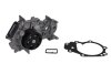 Водяний насос DACIA Logan 1.2 NISSAN Kubistar 1.2 16V RENAULT 1.2 16V Ruville 65513 INA 538 0046 10 (фото 1)