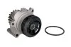 Насос водяний AUDI, SEAT, VW Ruville 65437 (Вир-во) INA 538 0089 10