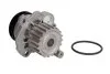 Насос водяний AUDI, SEAT, VW Ruville 65437 (Вир-во) INA 538 0089 10 (фото 2)