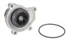 Водяной насос SKODA RAPID (NH3), 07/12 - 1.2 (Пр-во) INA 538 0336 10 (фото 3)