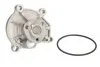 Водяной насос SKODA RAPID (NH3), 07/12 - 1.2 (Пр-во) INA 538 0336 10 (фото 4)