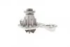 Насос водяний VW, AUDI, FORD, SEAT Ruville 65430 (Вир-во) INA 538 0339 10 (фото 5)