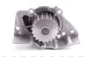 Насос водяний PEUGEOT/CITROEN/FIAT/LANCIA/ROVER Ruville 65980 (Вир-во) INA 538 0468 10 (фото 4)