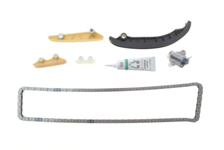 Комплект ланцюг натягувач INA 559 1812 20