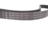 Ремінь генератора поліклиновий INA FB 7PK1113 (фото 4)