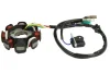 Статор генератора GY6-125 GY6-150 GY6-125 GY6-150 ((EN) No of coils: 8, (EN) with pulser) CHIŃSKI SKUTER/MOPED/MOTOROWER/ATV 4T Inparts IP000501 (фото 2)