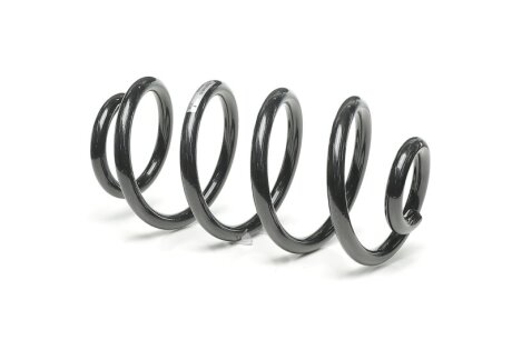 Пружина підвіски задн. Nissan Juke 1 -19 JAKOPARTS J4411023