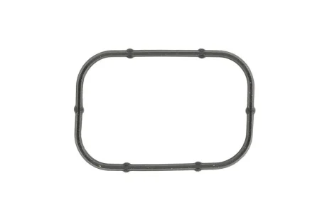 Прокладка впускного колектора CHRYSLER 200, 300C, PACIFICA, TOWN & COUNTRY, VOYAGER V DODGE AVENGER, CHALLENGER, CHARGER, DURANGO, GRAND, JOURNEY FIAT FREEMONT JEEP CHEROKEE 3.2-3.6LPG 09.10- JEEP/CHRYSLER/DODGE 05184562AC