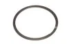 Кільце ущільнювальне випускного колектора JD8400 (/R58109) (JD) JOHN DEERE R122595 (фото 1)