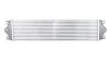 Интеркуллер Nissan Interstar - Opel Movano - Renault Master Ii Intercooler KALE OTO RADYATOR Kale 345100 (фото 1)