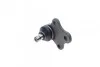 Опора кульова (передня/знизу) Citroen Berlingo/Peugeot Partner 96- (d=16mm) (без гу) UA63 KAPIMSAN 19-05810 (фото 4)