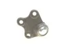 Опора кульова (передня/знизу/R) Audi A1 10-/Seat Ibiza 02-15/Skoda Fabia 99-14/Rapid 12-/VW Polo UA63 KAPIMSAN 23-06223 (фото 3)