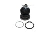 Опора шаровая (передняя) Honda Civic V/VI 94-01 PARTS UA63 KAVO SBJ-2002 (фото 1)