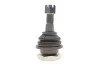Кульова опора (шарнір) PARTS KAVO SBJ-6501 (фото 4)