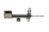 Амортизатор (передній) Citroen C4 II 09- (L) PARTS (opt-om) KAVO SSA-10579 (фото 6)