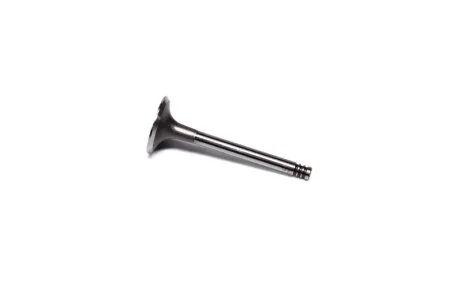 Клапан впускной IN AUDI/VW 1.9D/2.4D 1Y/AAS/AAB/AGP 36X8X95.6 (выр-во KS) KOLBENSCHMIDT 39123