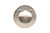 Поршень з кільцями VAG 82.51 CADA/CCZA/CDZA/CAWB/CBFA/CBL/CCTA/CCTB/CCZB/CCZC PIN 21MM (вир-во KS) KOLBENSCHMIDT 40247600 (фото 5)