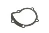 Водяний насос (Вир-во KS) KOLBENSCHMIDT 50005319 (фото 2)