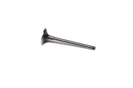 Клапан впускной RENAULT 1,9dCi F9Q 35.3x7x110.9 (выр-во KS) KOLBENSCHMIDT 511013