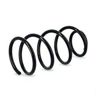 Пружини підвіски KYB RA1103