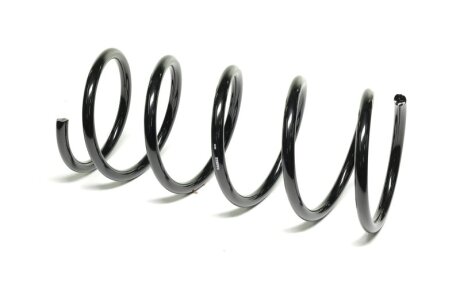 Пружина підв. Hyundai TERRACAN (HP) (2001-06) задн. (Kayaba) KYB RA5622