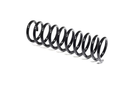 Пружина підв. FORD FOCUS II задн. (Kayaba) KYB RA6658