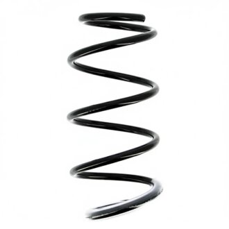 Пружини підвіски KYB RG1001