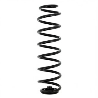 Пружини підвіски KYB RG5000