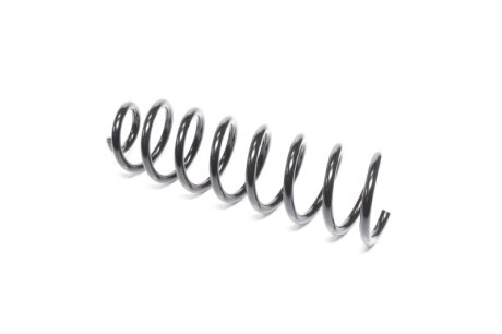 Пружина підв. Dacia Logan задн. (Kayaba) KYB RG6454