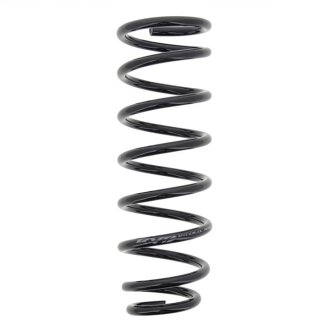 Пружини підвіски KYB RG6546