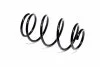 Пружини підвіски KYB RH2594 (фото 1)